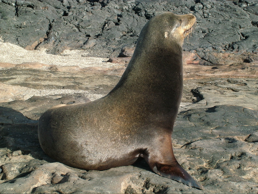 DSCF3534.JPG