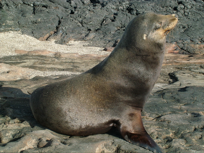 DSCF3535.JPG