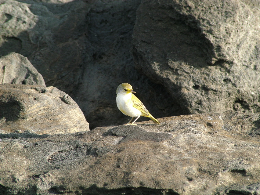 DSCF3536.JPG