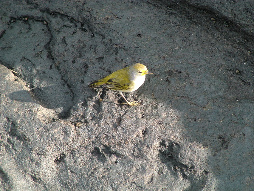 DSCF3537.JPG