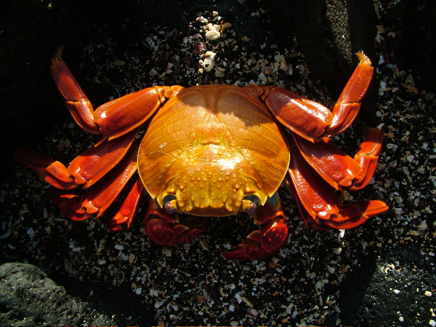 DSCF3538.JPG