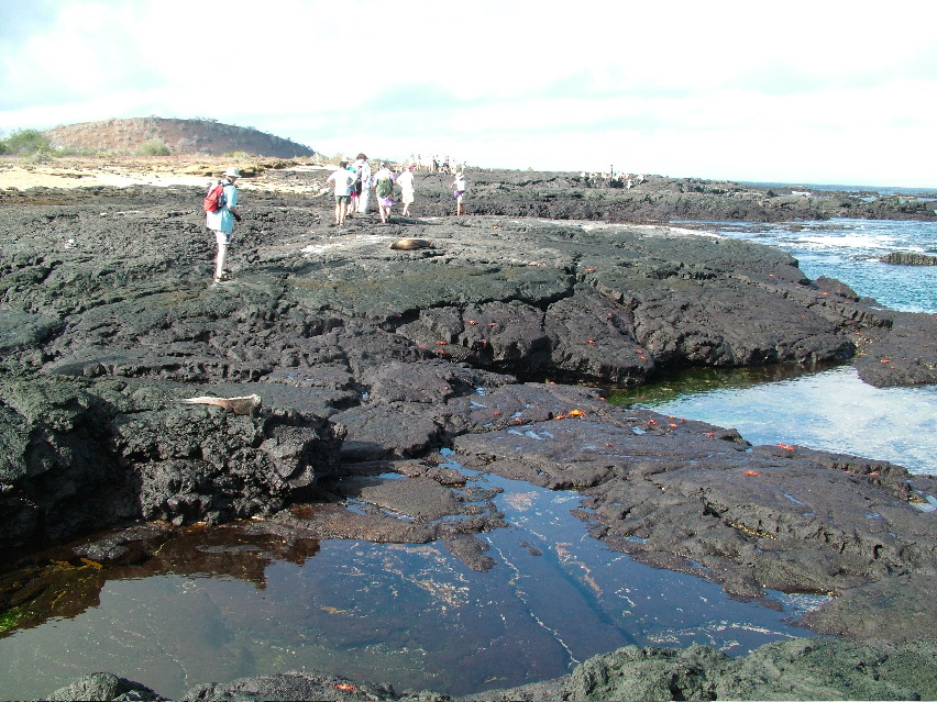 DSCF3539.JPG