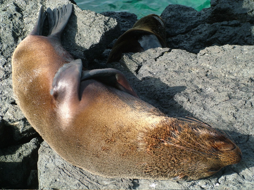 DSCF3542.JPG