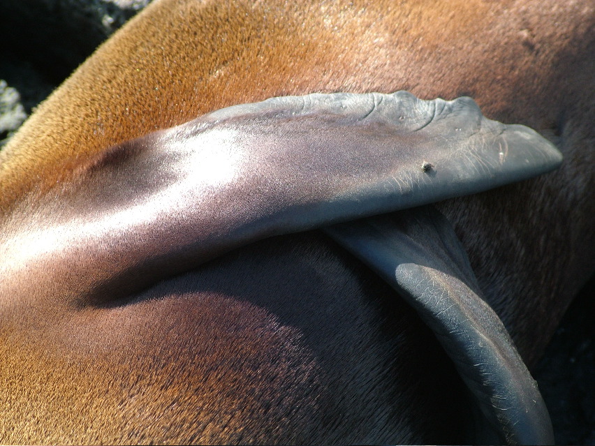 DSCF3543.JPG