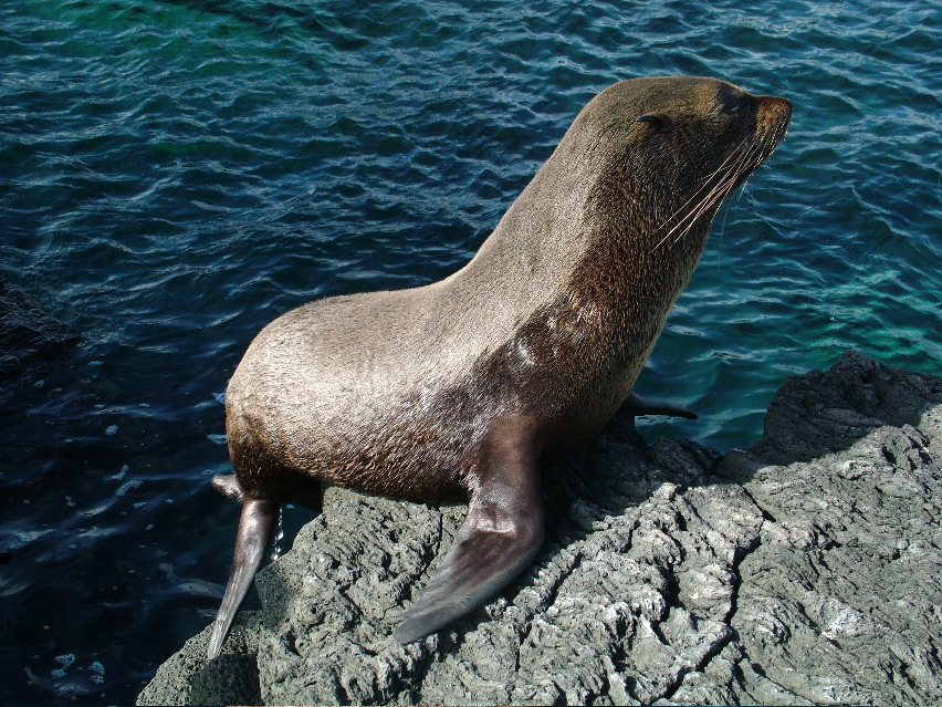 DSCF3547.JPG