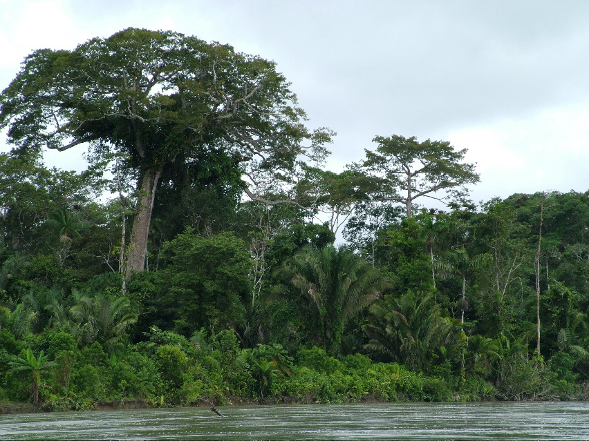DSCF3156.JPG