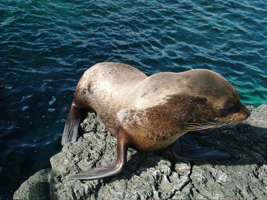 DSCF3548.JPG
