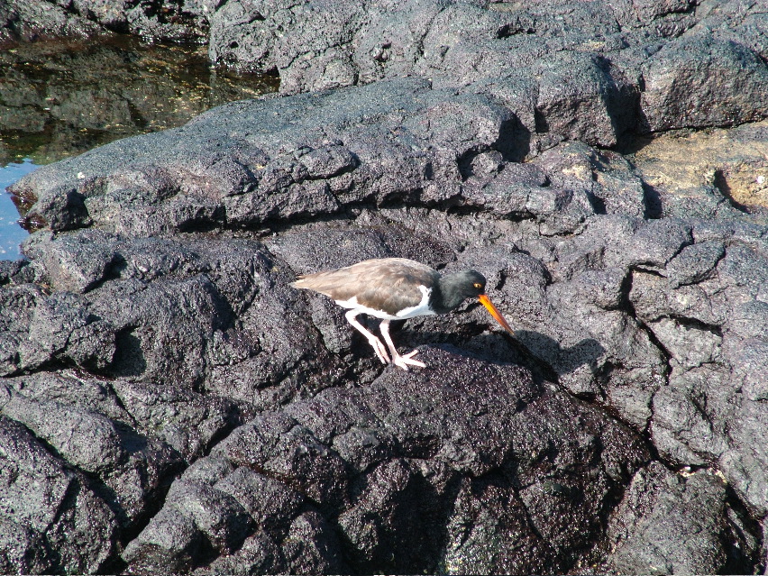 DSCF3551.JPG