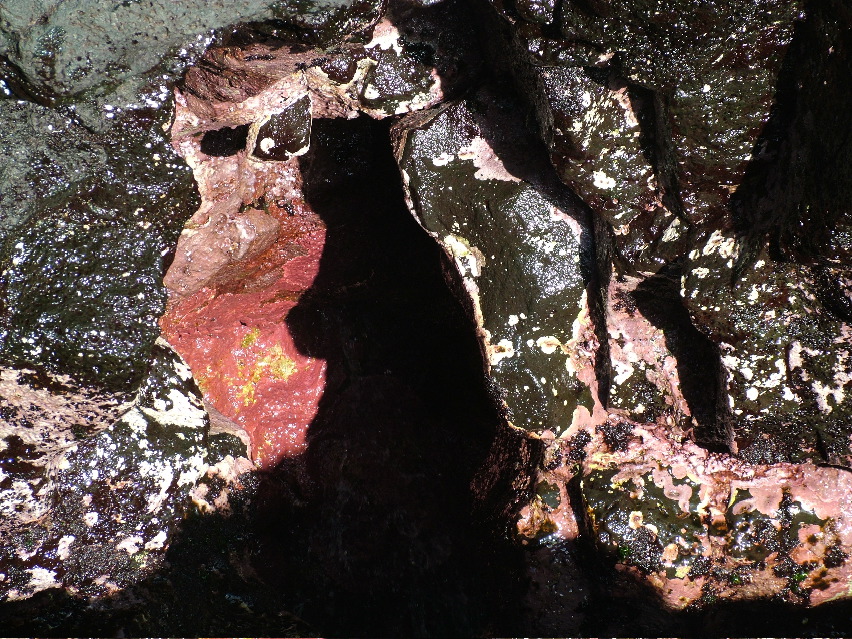 DSCF3552.JPG