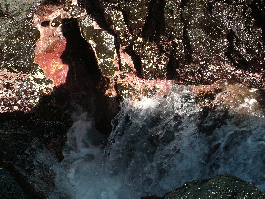 DSCF3553.JPG