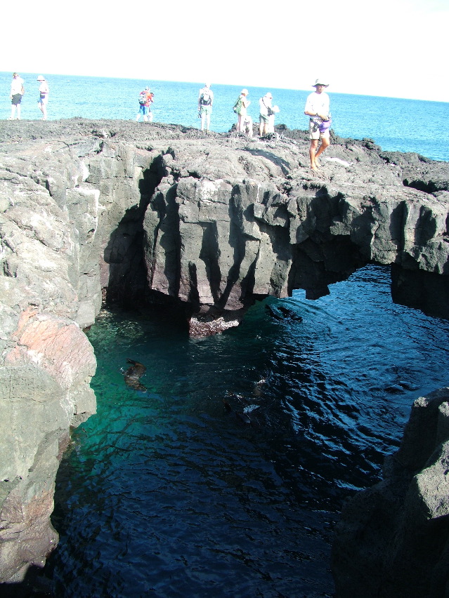 DSCF3554.JPG