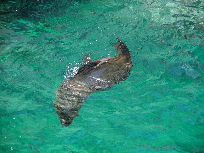 DSCF3559.JPG