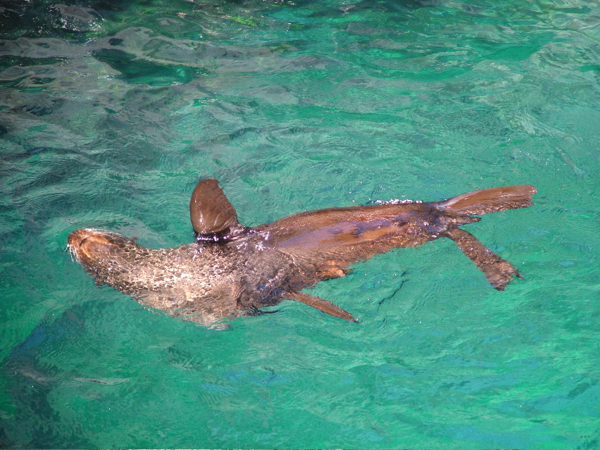 DSCF3560.JPG