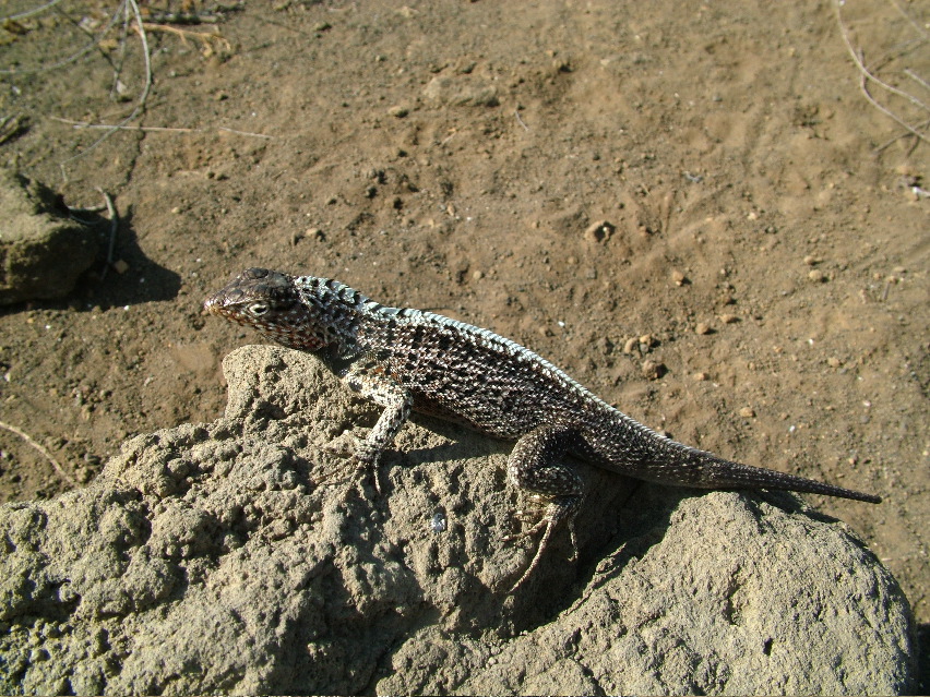 DSCF3566.JPG