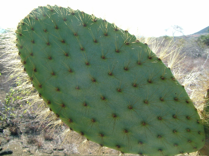 DSCF3567.JPG