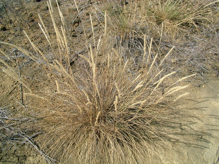 DSCF3569.JPG