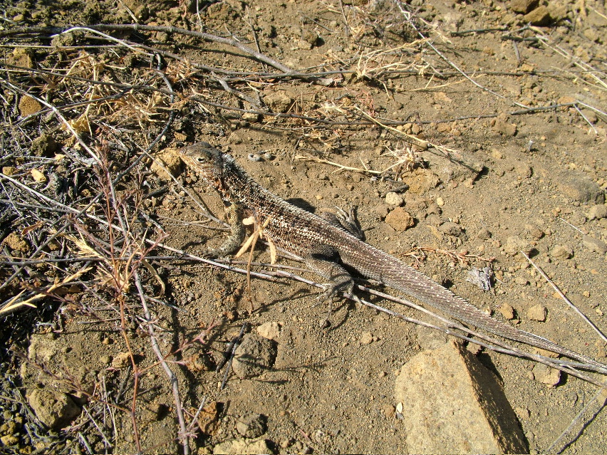 DSCF3570.JPG