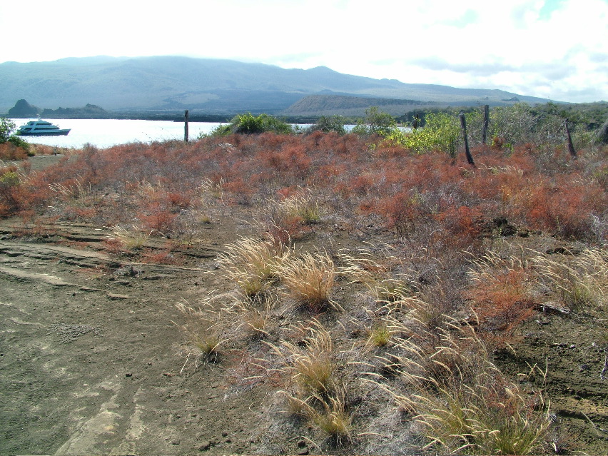 DSCF3571.JPG