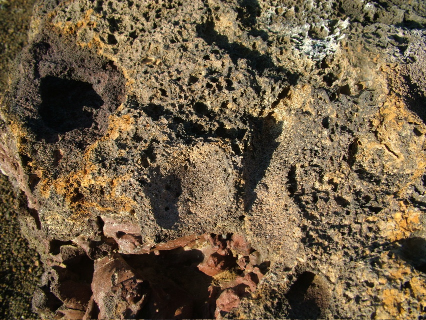 DSCF3594.JPG