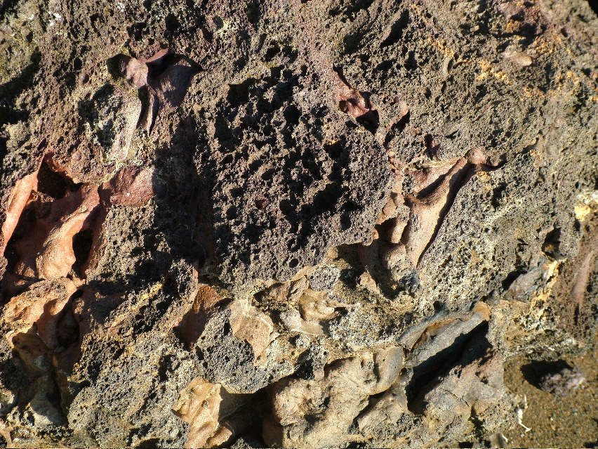 DSCF3595.JPG