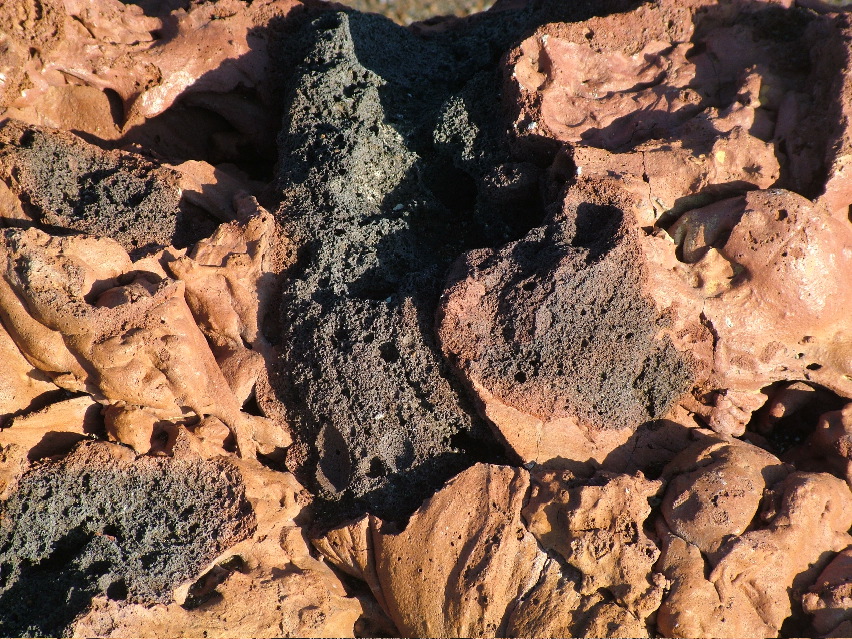 DSCF3596.JPG
