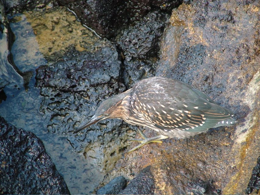 DSCF3597.JPG