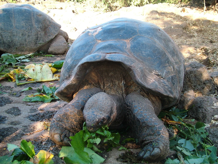 DSCF3598.JPG