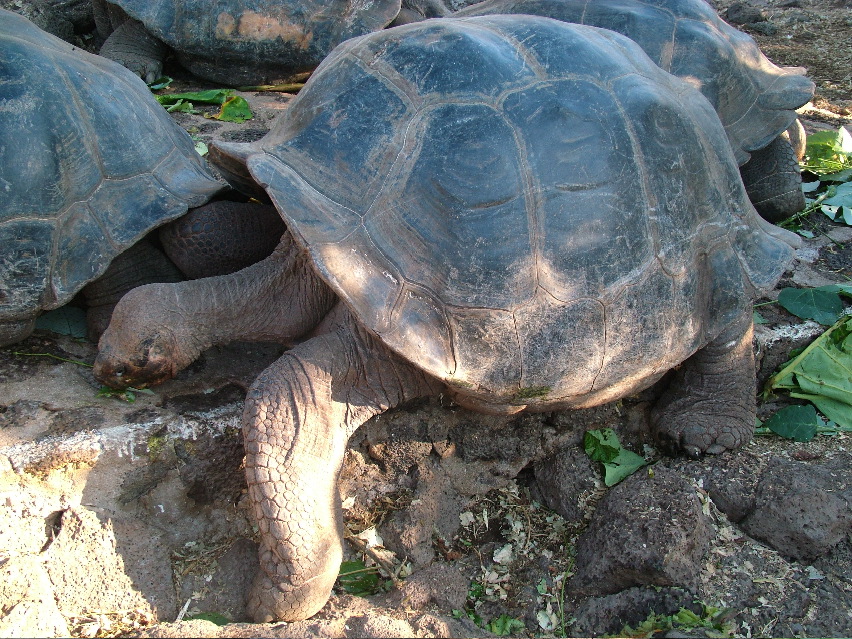 DSCF3599.JPG