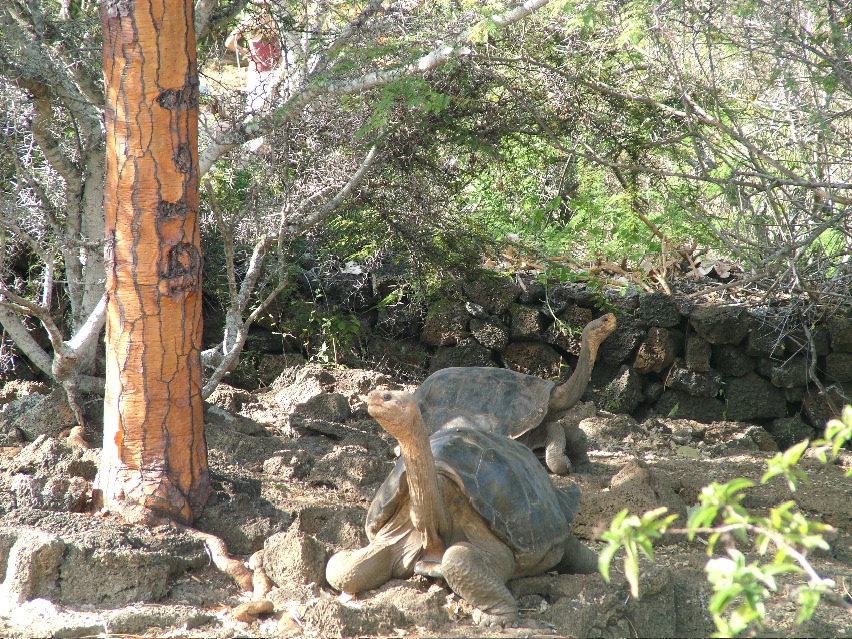 DSCF3602.JPG