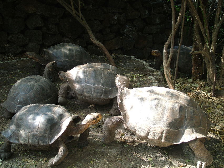 DSCF3605.JPG