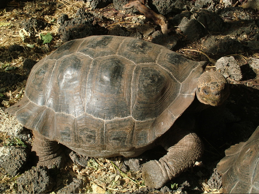 DSCF3606.JPG