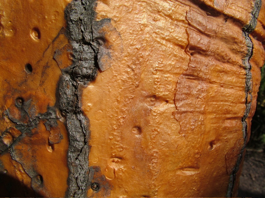 DSCF3607.JPG