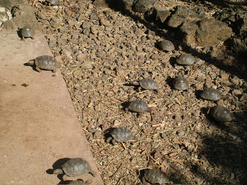 DSCF3608.JPG