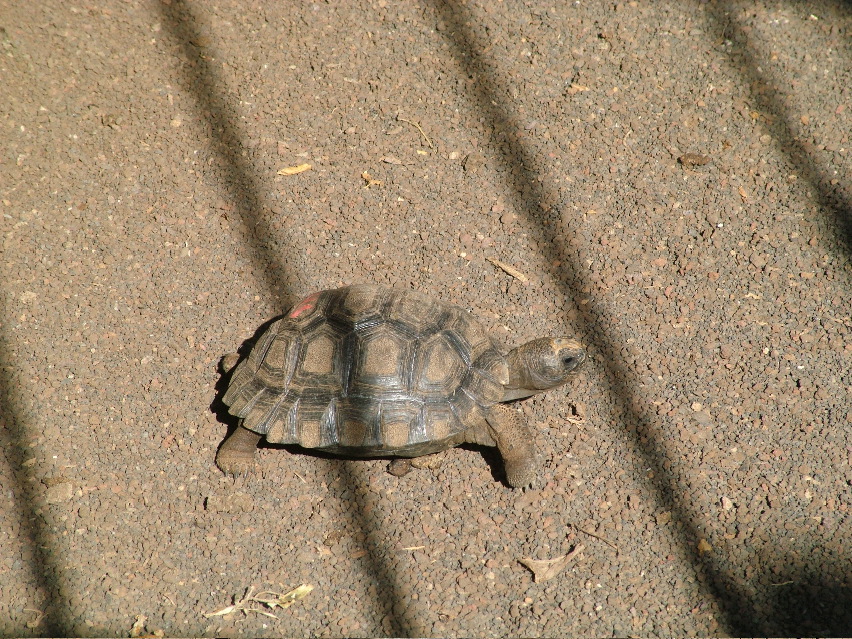DSCF3610.JPG