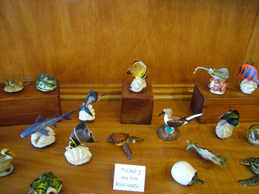 DSCF3615.JPG