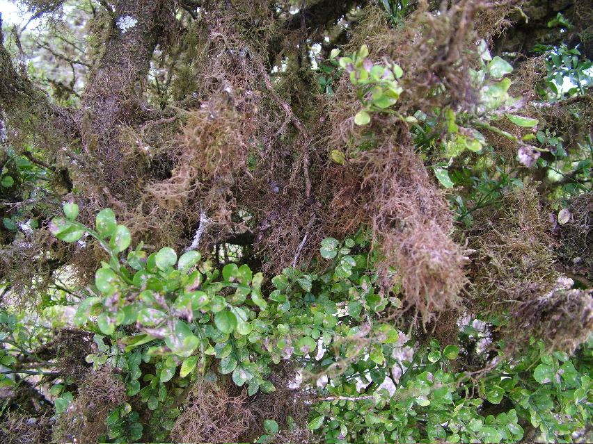 DSCF3623.JPG