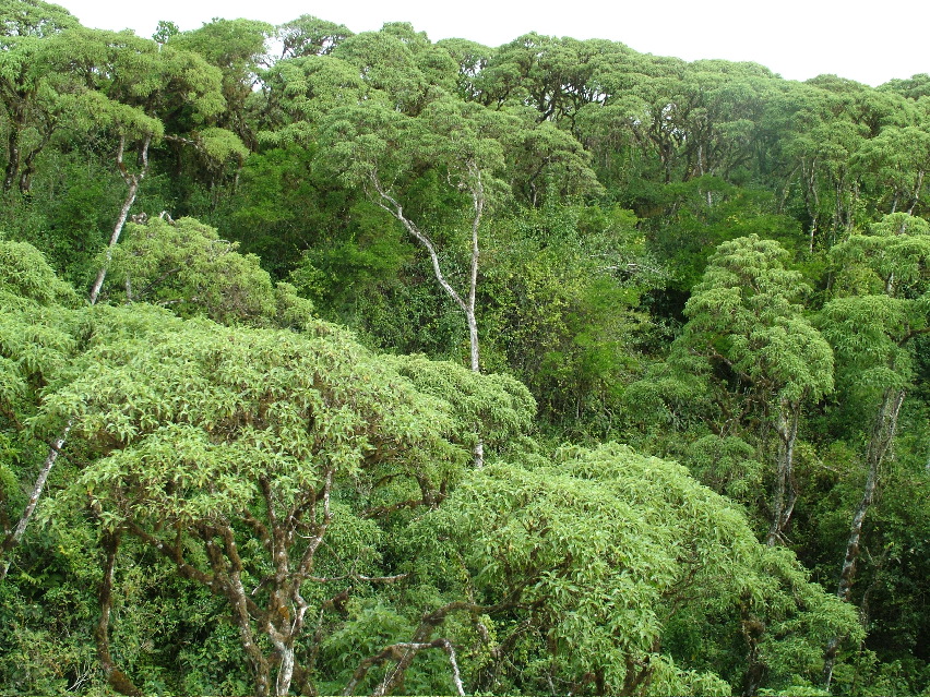 DSCF3624.JPG