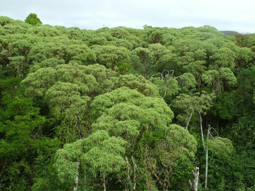 DSCF3625.JPG