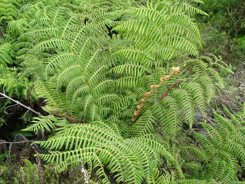 DSCF3626.JPG