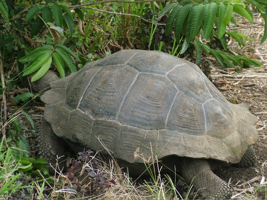 DSCF3628.JPG