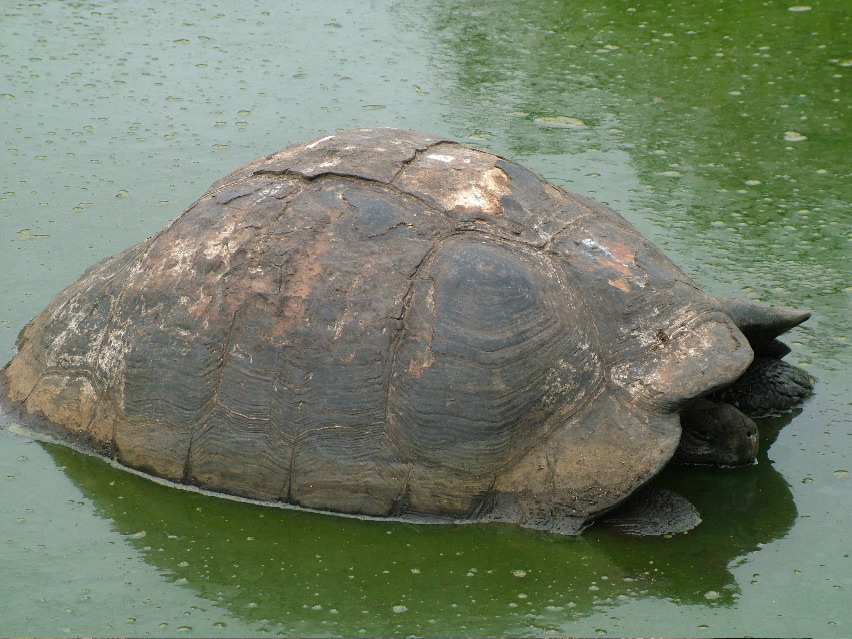 DSCF3630.JPG