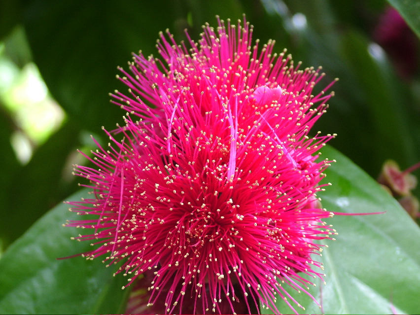 DSCF3634.JPG