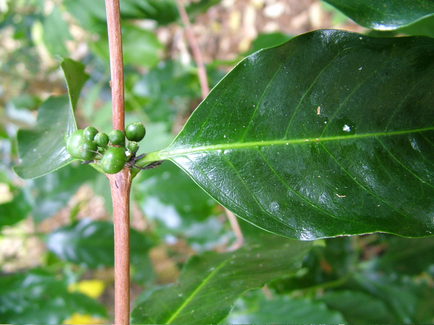 DSCF3637.JPG