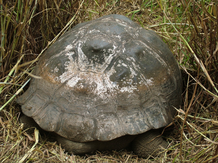 DSCF3638.JPG