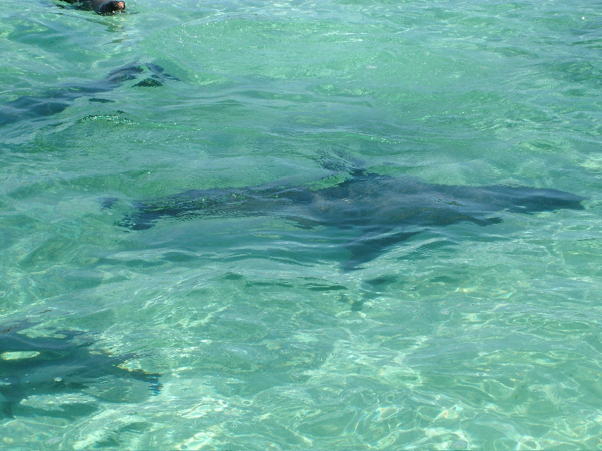 DSCF3642.JPG