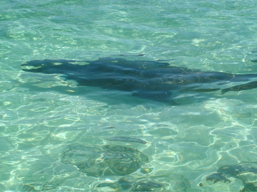 DSCF3643.JPG