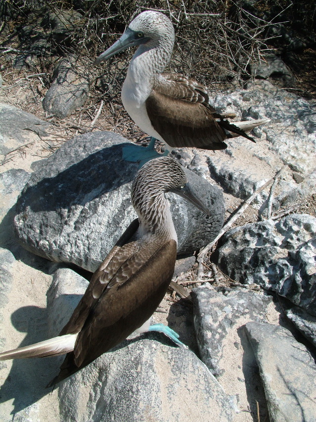 DSCF3644.JPG