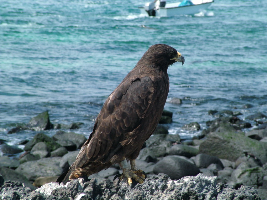 DSCF3645.JPG