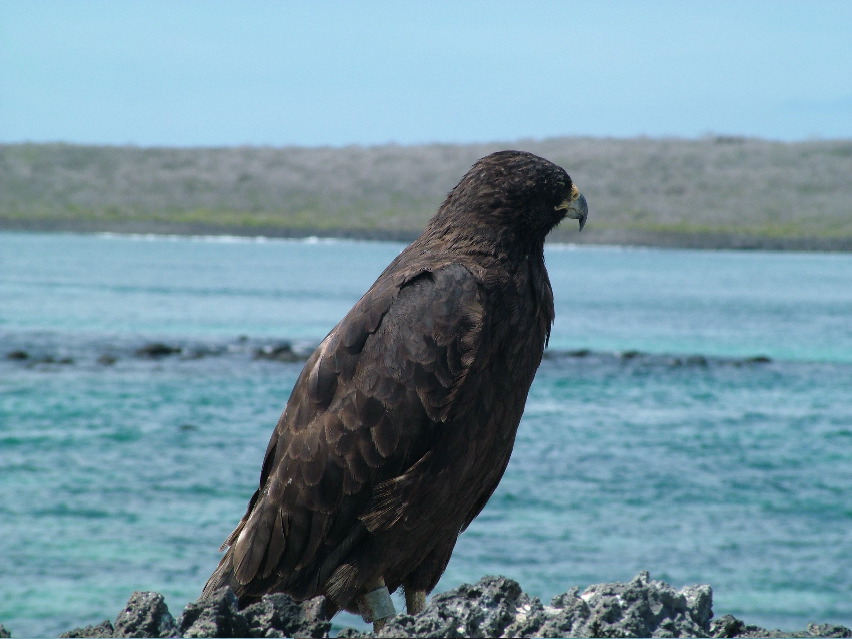 DSCF3646.JPG