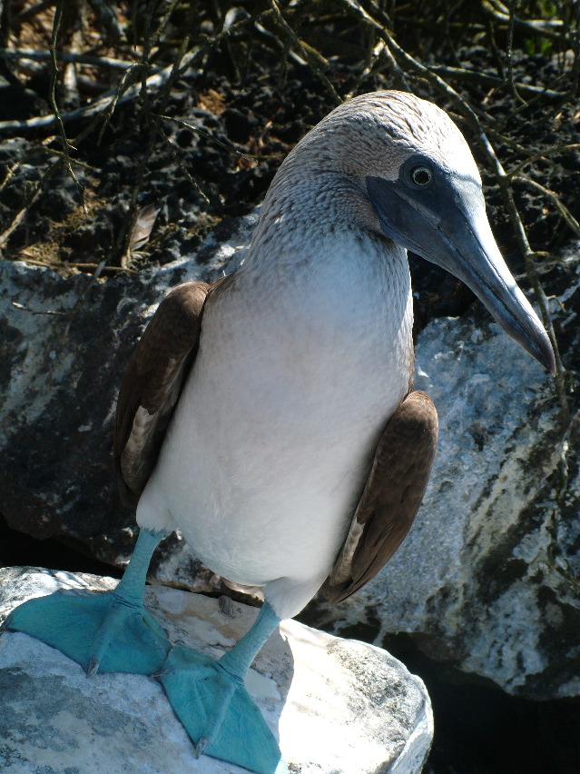 DSCF3648.JPG